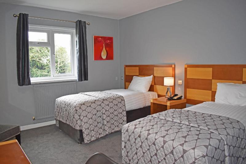 Business Twin Room image 2