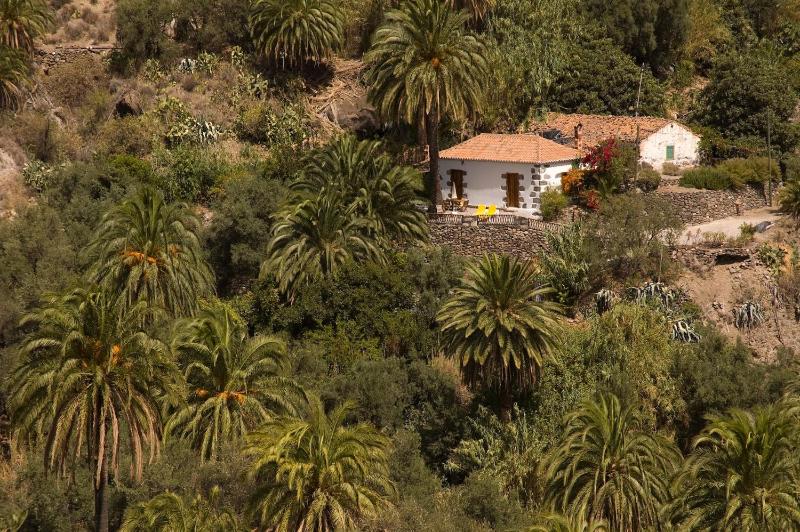 Casa con piscina en San Bartolome - image 15