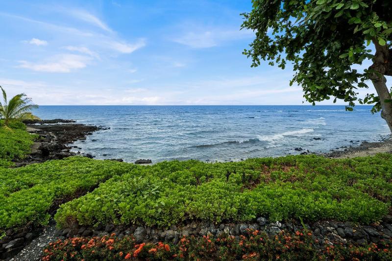 Kksr 3 Direct Oceanfront Townhome! - image 18