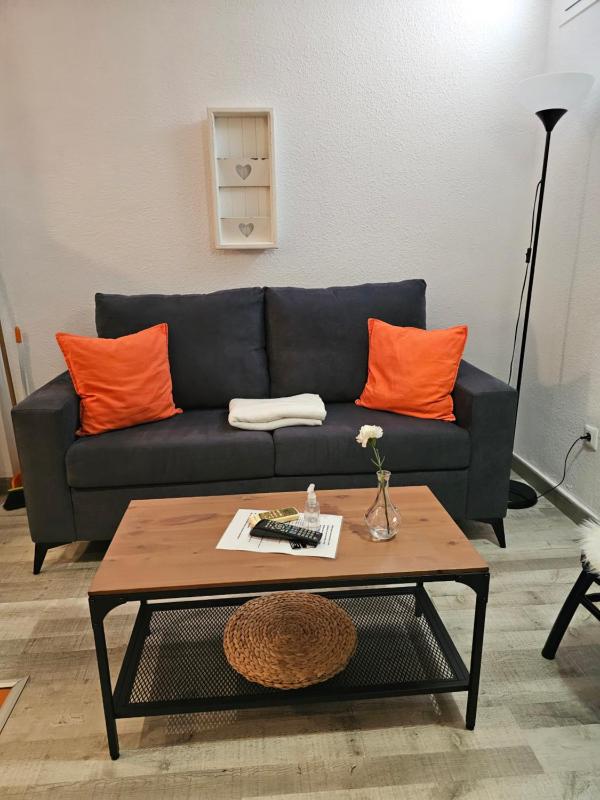 One-Bedroom Apartment image 4
