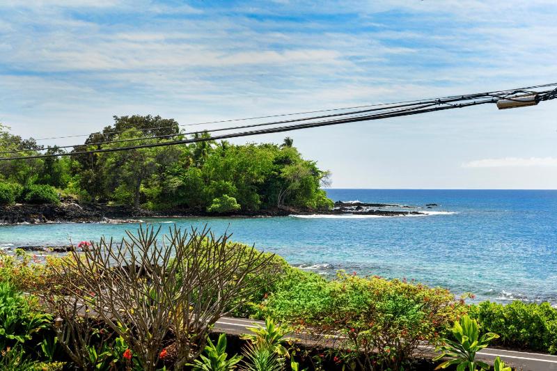 Kona Palms#201 - image 9