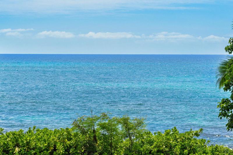 Kona Palms#201 - image 5