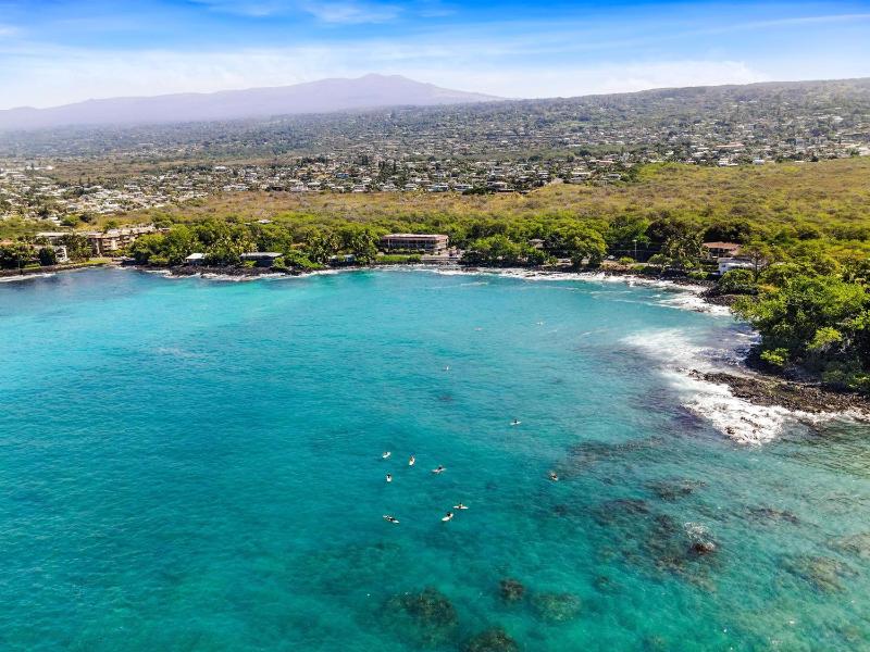 Kona Palms#201 - image 10