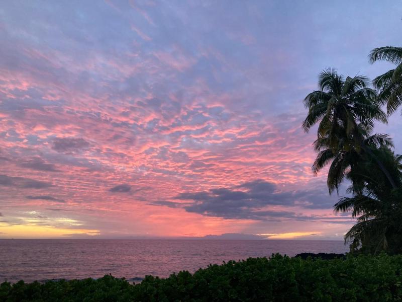 Kona Palms#201 - image 30