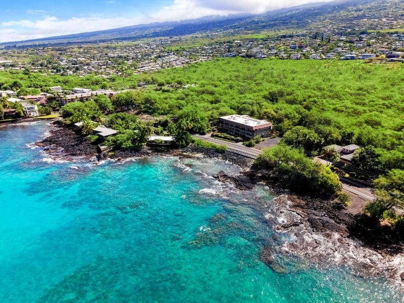 Kona Palms#201 - image 38
