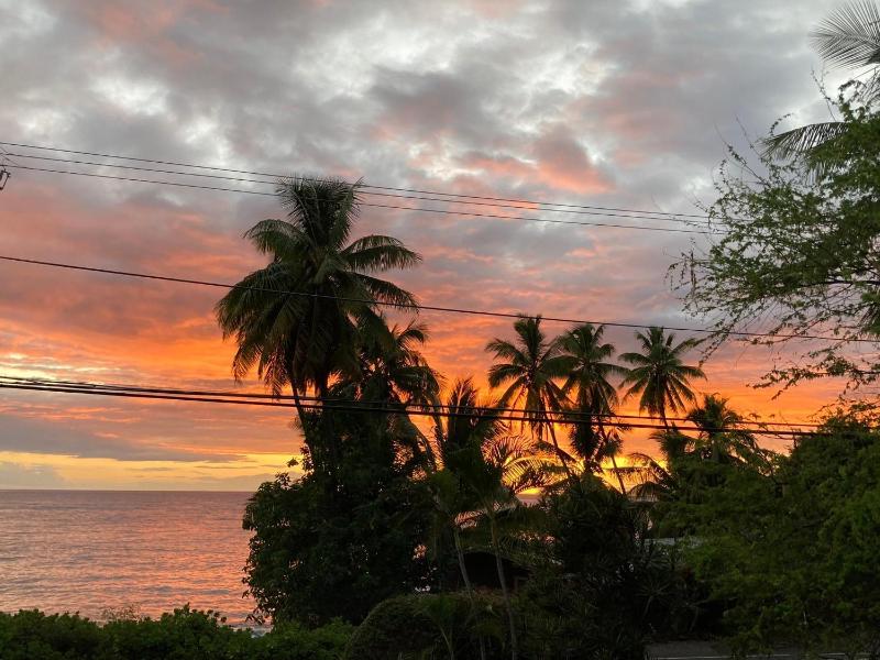 Kona Palms#201 - image 29