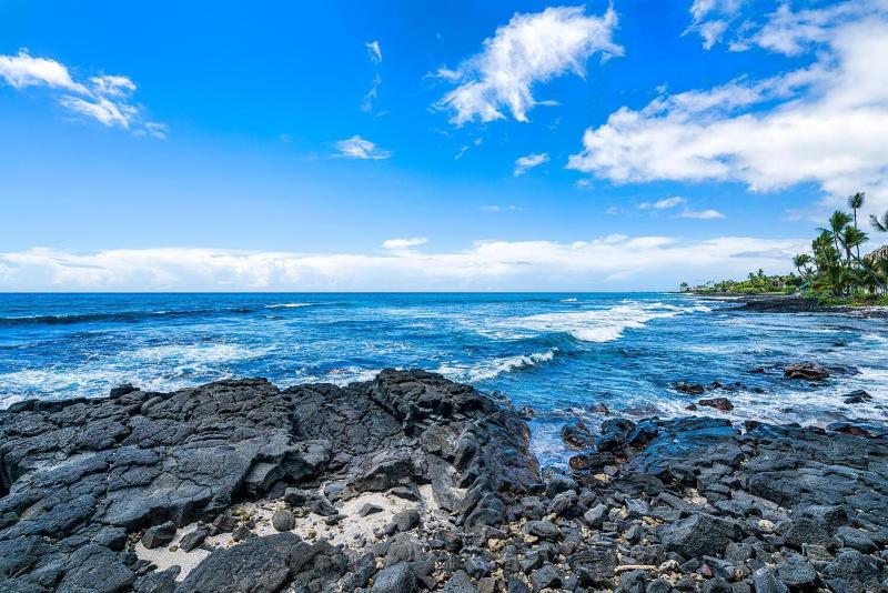 Banyan Tree 301: Oceanfront 2/2 Remodeled with AC - image 6