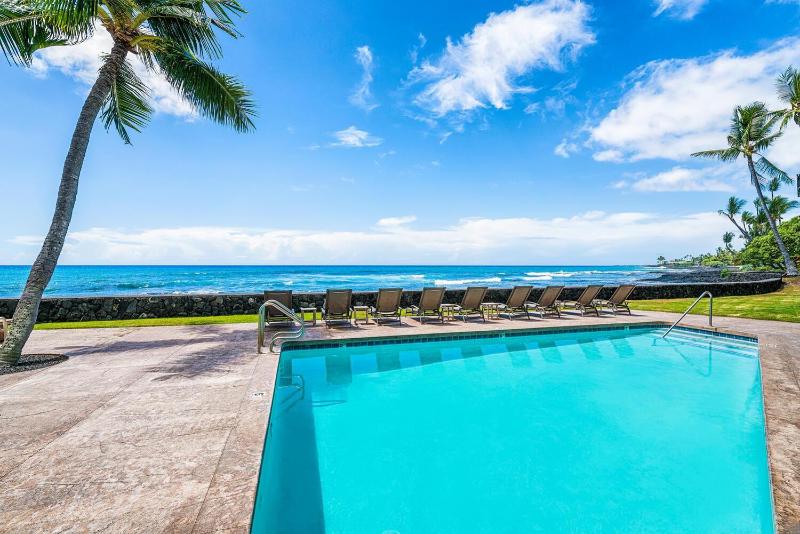 Banyan Tree 301: Oceanfront 2/2 Remodeled with AC - image 13
