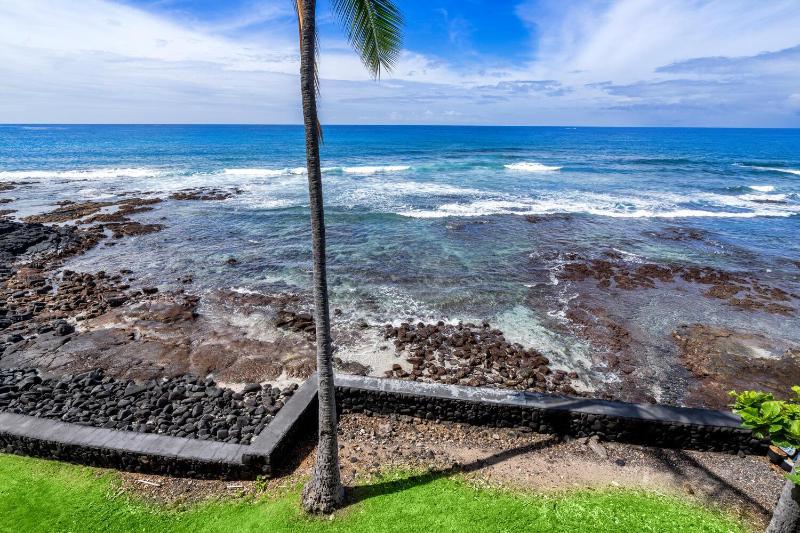 Banyan Tree 301: Oceanfront 2/2 Remodeled with AC - image 26