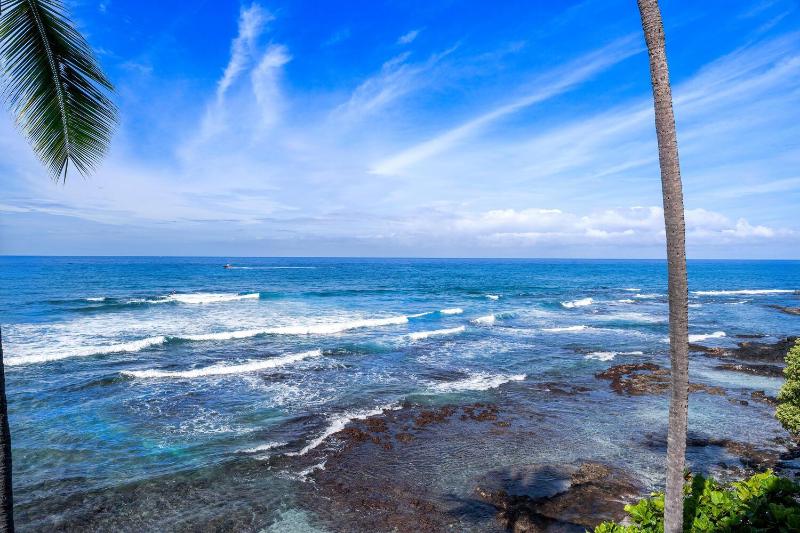 Banyan Tree 301: Oceanfront 2/2 Remodeled with AC - image 9