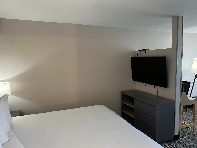 One-Bedroom King Suite - Non-Smoking image 2