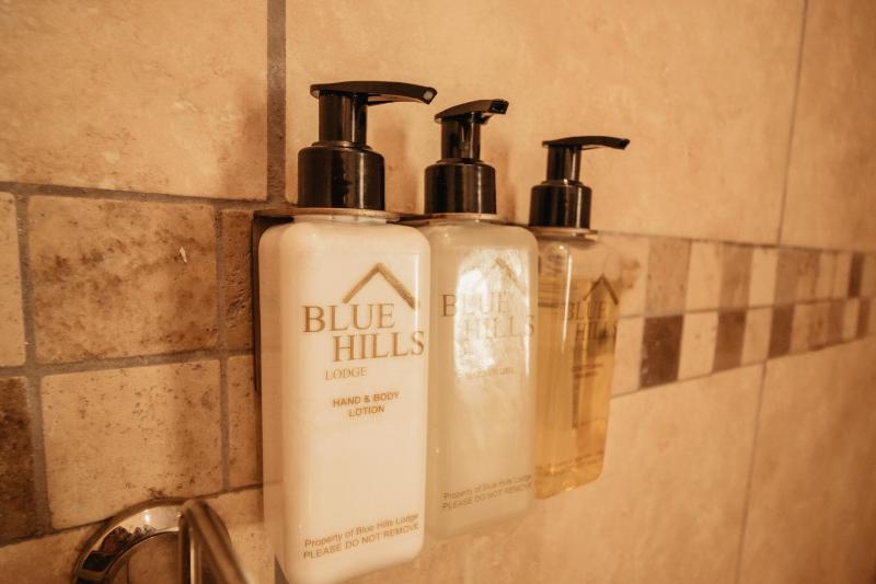 Blue Hills Lodge - image 3
