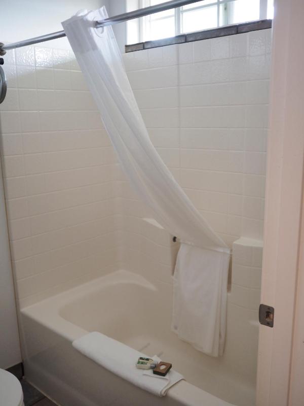 Premium King Room - Not Pet Friendly image 2