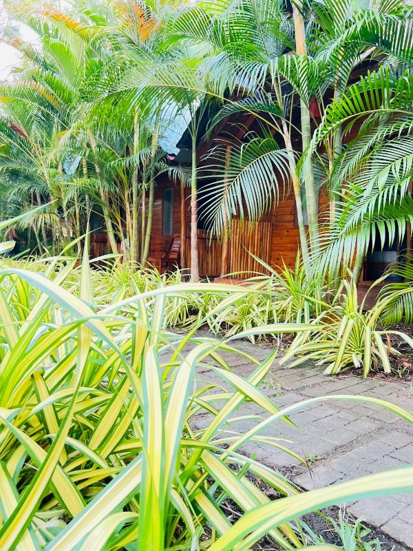 Sasvi Cabana - image 8