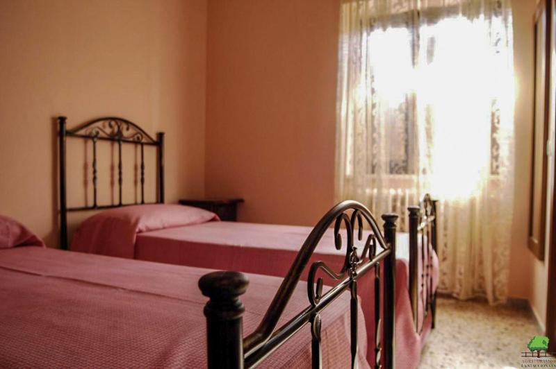 Double or Twin Room image 1