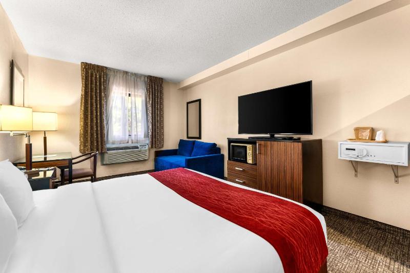 King Room with Mobility Accessible Tub and Sofa Bed image 4