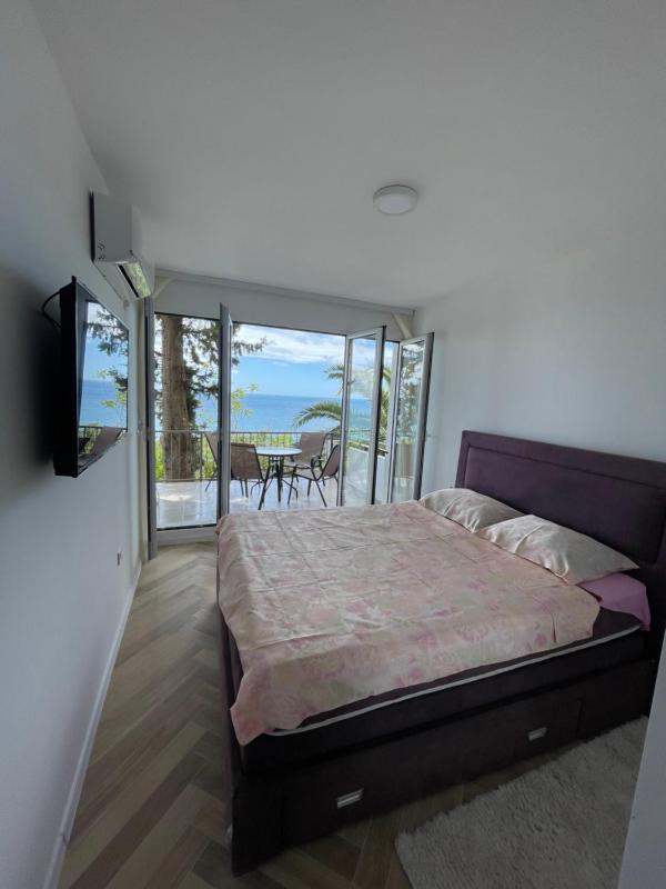 Pine forest apartment - image 9