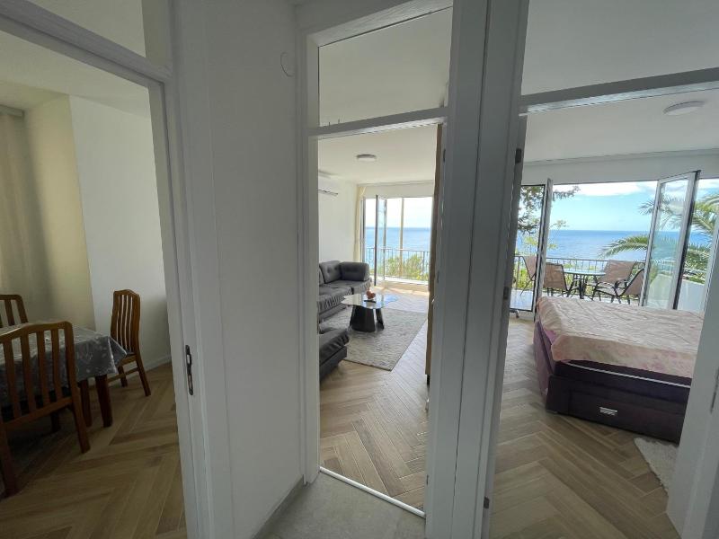 Pine forest apartment - image 7