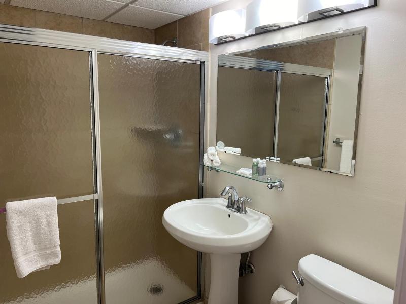 One-Bedroom Suite image 1