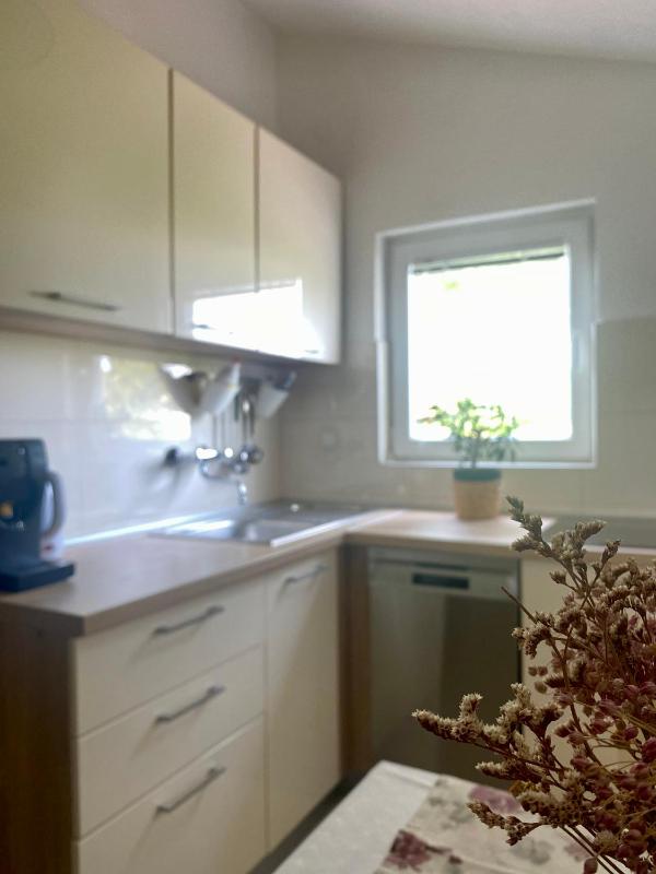 Apartment Ponoš - image 16