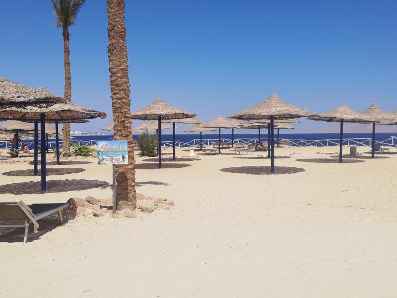 Chalet NEMO vista mare Sharks Bay Sharm el Sheikh - image 22