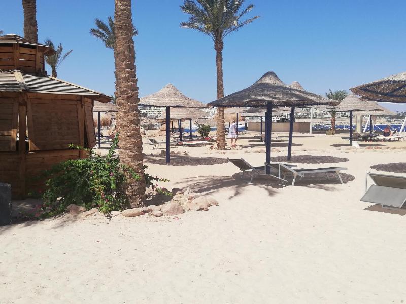 Chalet NEMO vista mare Sharks Bay Sharm el Sheikh - image 49
