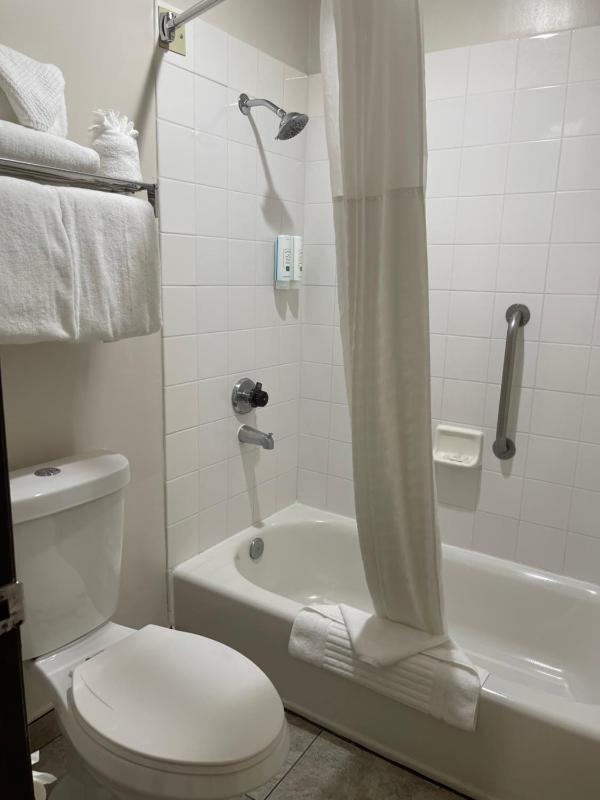 Standard Room, 1 King Room, Non Smoking image 3