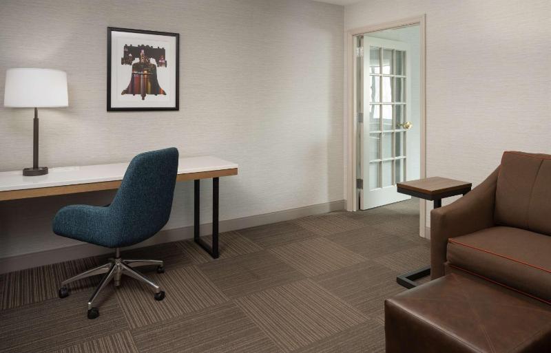 Deluxe King Suite image 2