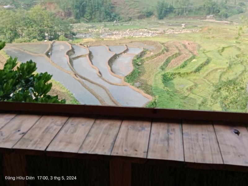 Sapa rice field view - image 8