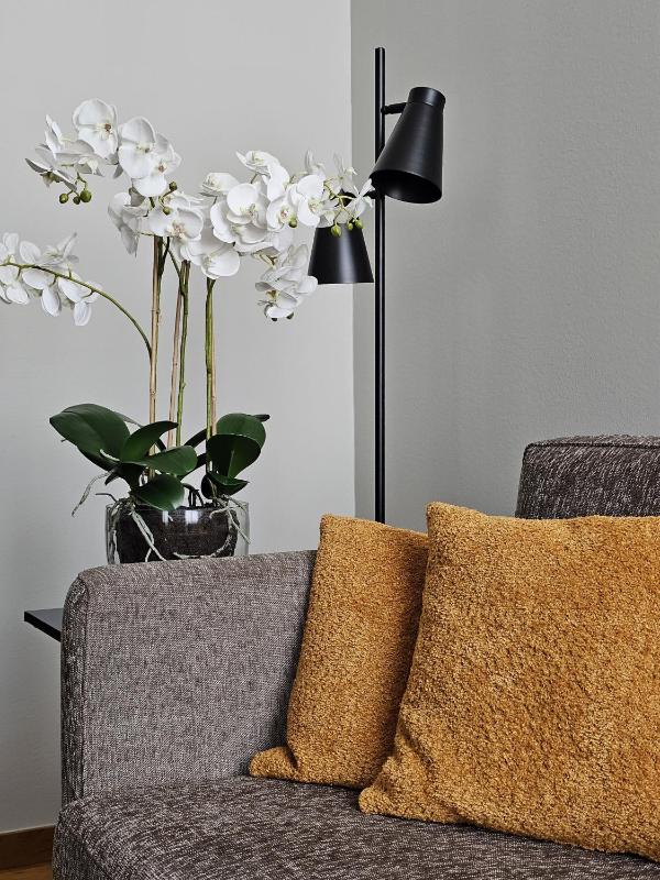 Junior Suite with Spa Access image 3