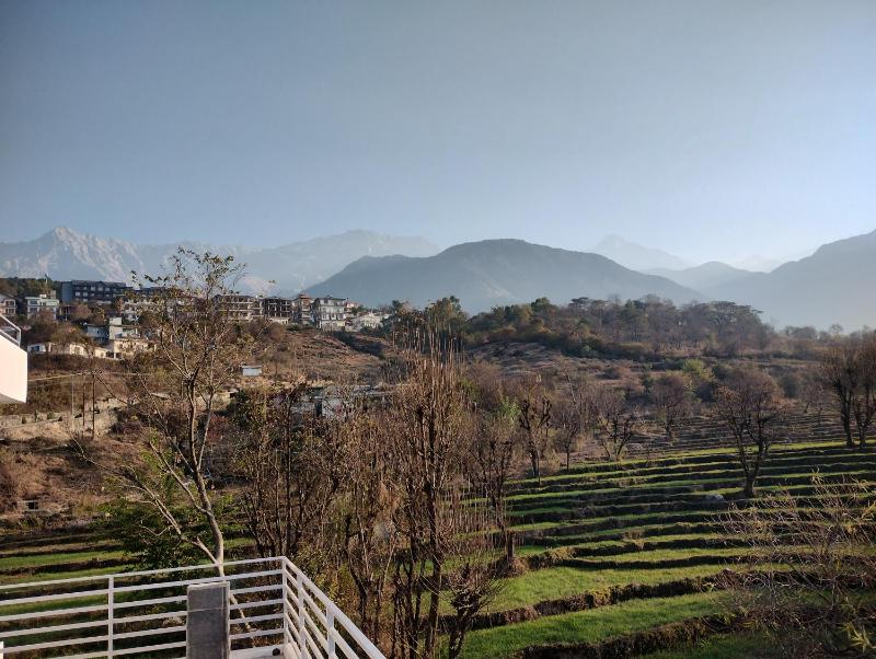 Anitra - image 18
