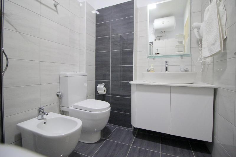 One-Bedroom Apartment image 2