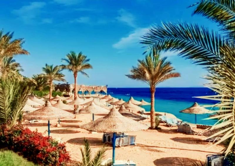 Sharm Hills Beach Resort - image 40