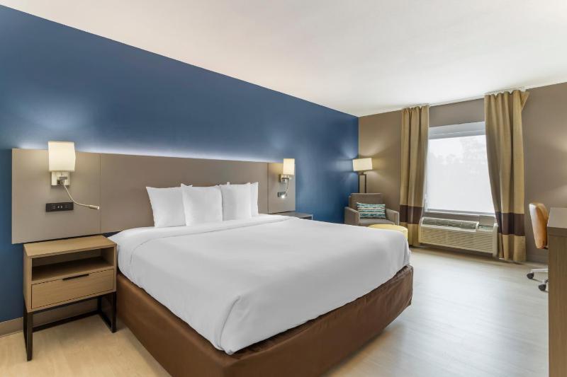 King Room - Non-Smoking image 4