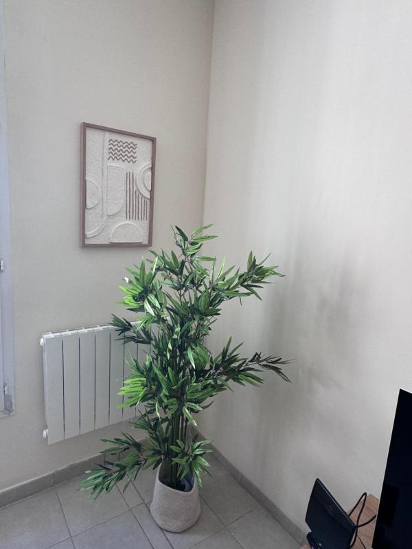 Appartement Lemaitre - image 8