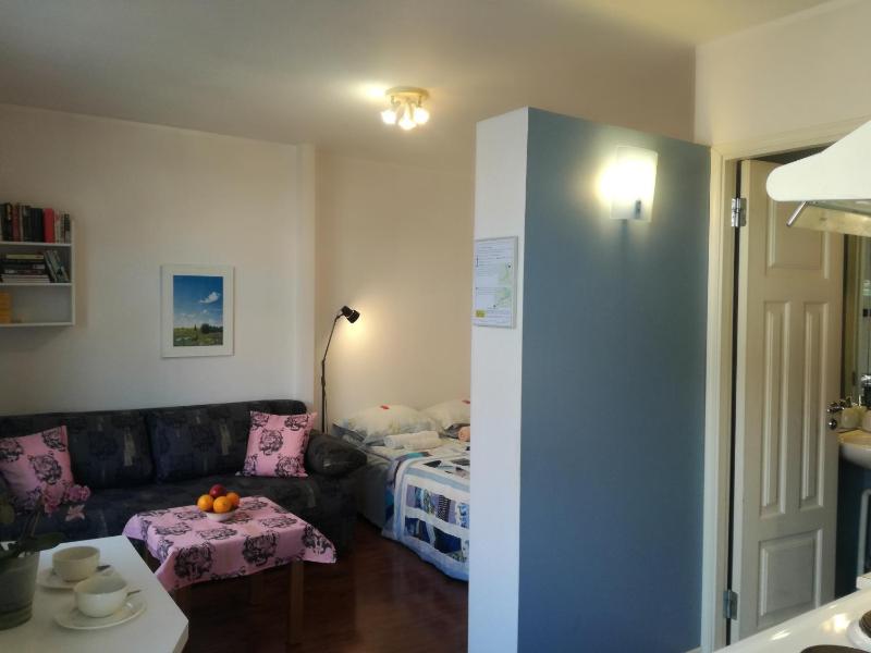 Studio Apartment image 1