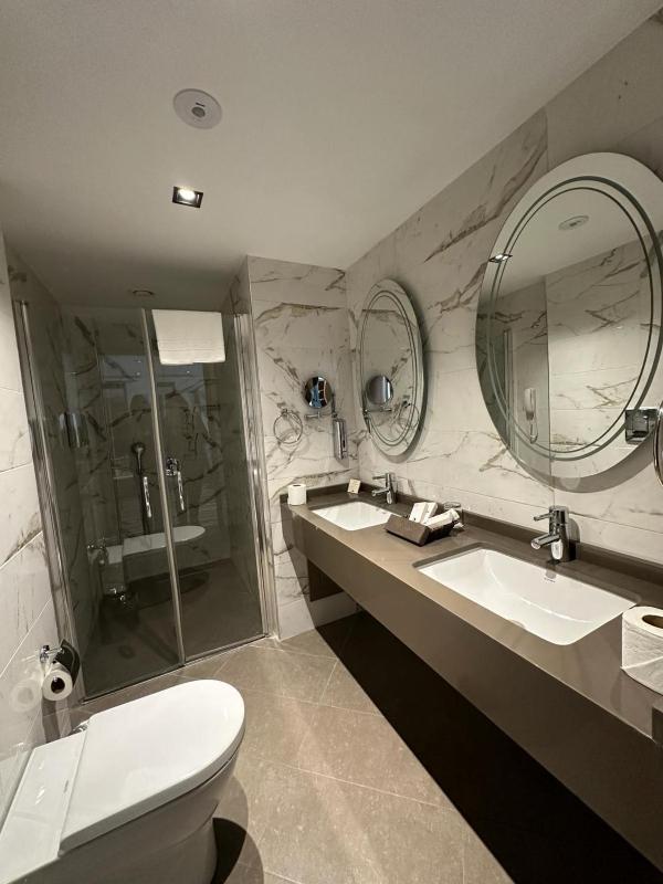 Deluxe Bosphorus Suite Balcony Room image 2