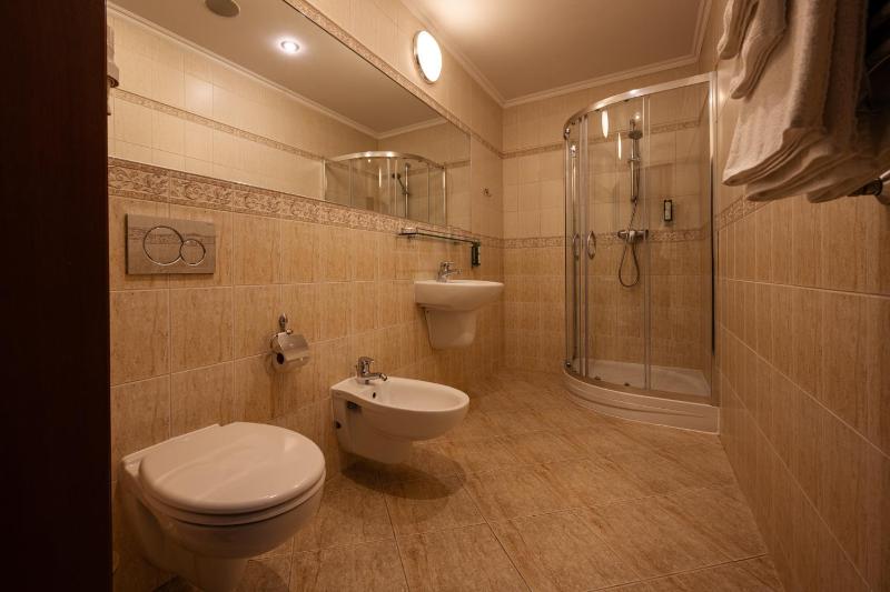 Premium  Room image 2