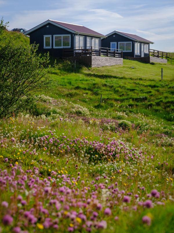 One-Bedroom Cottage image 2