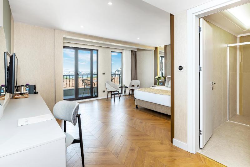 Deluxe Suite with Terrace image 3