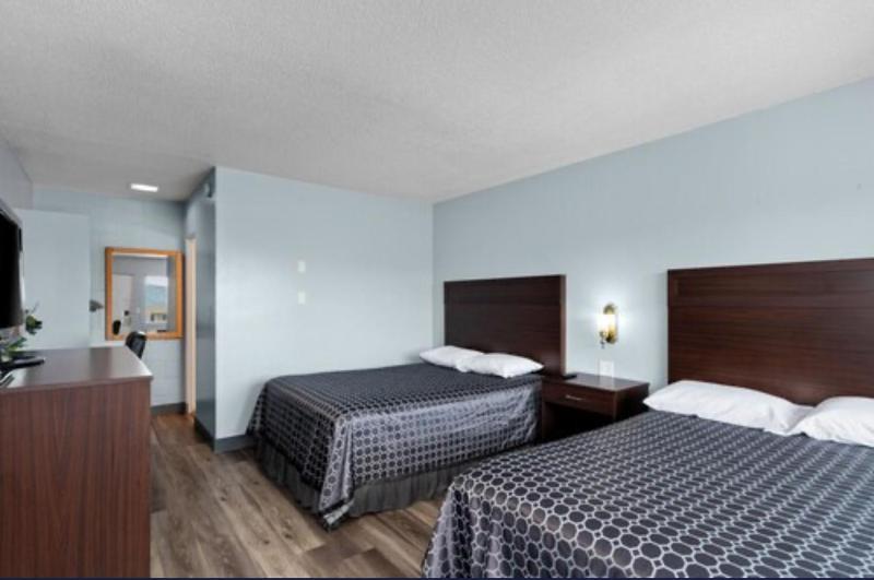 Standard Single Room image 3