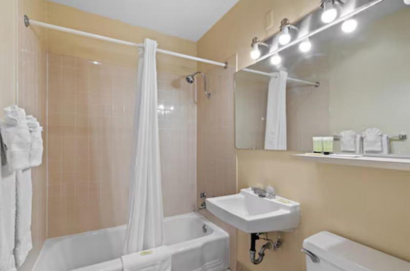 Standard Single Room image 2