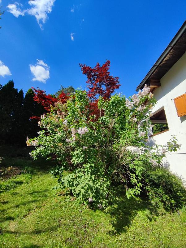 Garden House - image 14