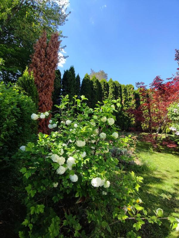 Garden House - image 10