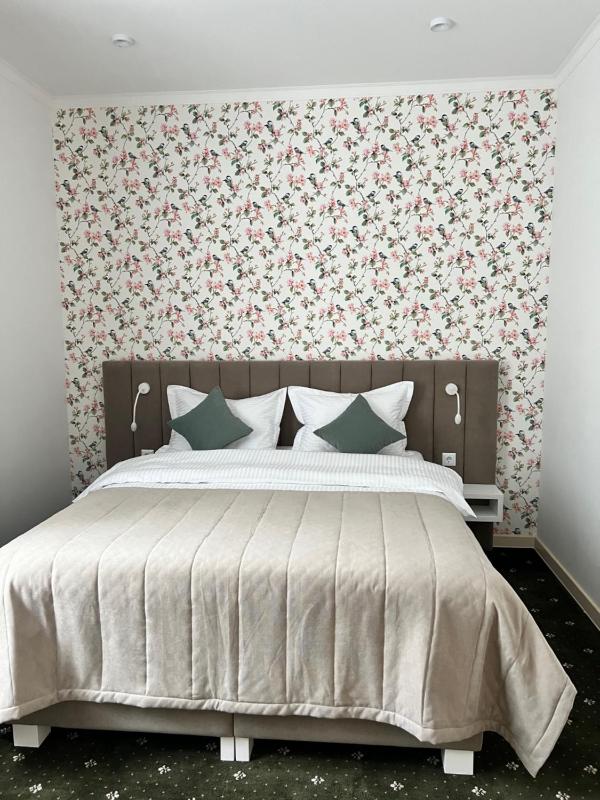 Deluxe Double Room image 1