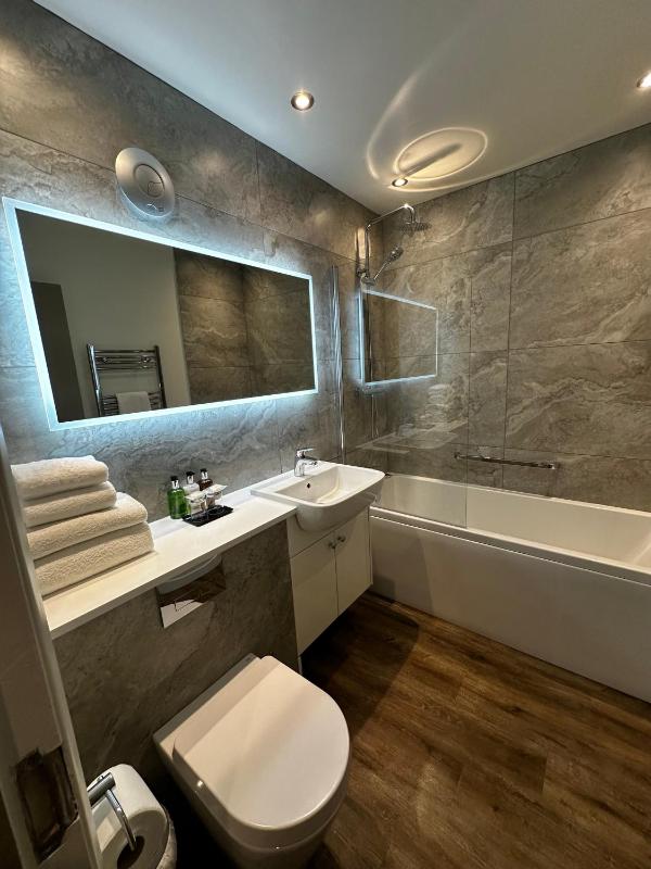 Pet Friendly King Room image 4