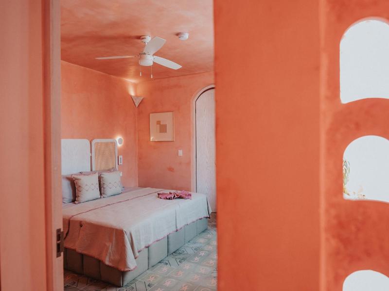 Casa Amate 61 - Mérida centro - image 8