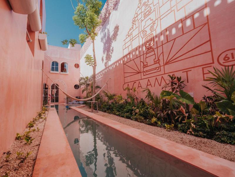Casa Amate 61 - Mérida centro - image 11