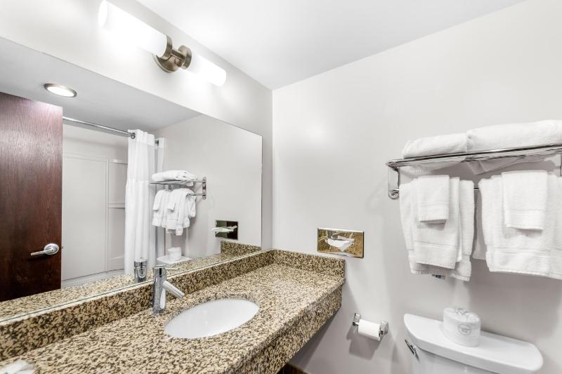 King Room with Roll-In Shower - Non Smoking image 2