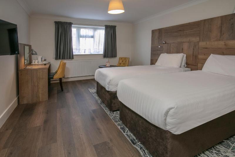 Standard Twin Room image 3